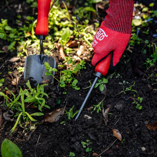 Tuinieren in april: Tips en meer!