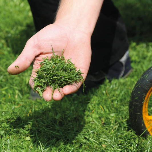 Waarom is mulchen goed voor je tuin?