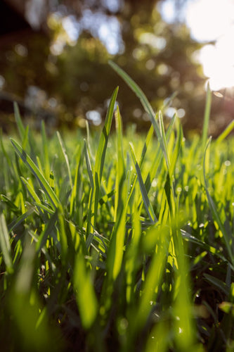 Is verticuteren echt nodig?