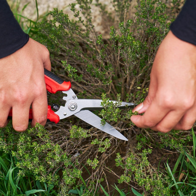 Felco 456 Multifunctionele Schaar-keizers.nu