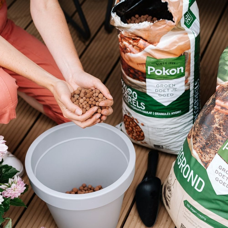 Pokon Hydrokorrels - 5 liter