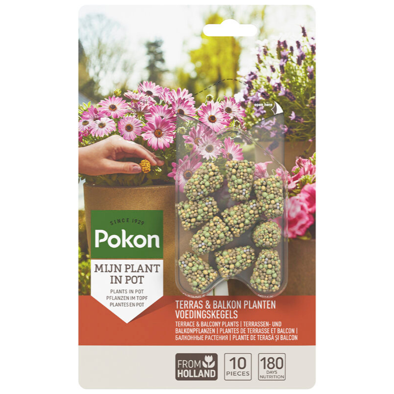 Pokon Terras & Balkon Planten Voedingskegels - 10 stuks
