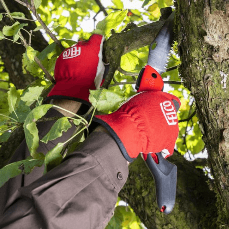 Felco Snoeizaag 603 met Gebogen Blad - keizers.nu