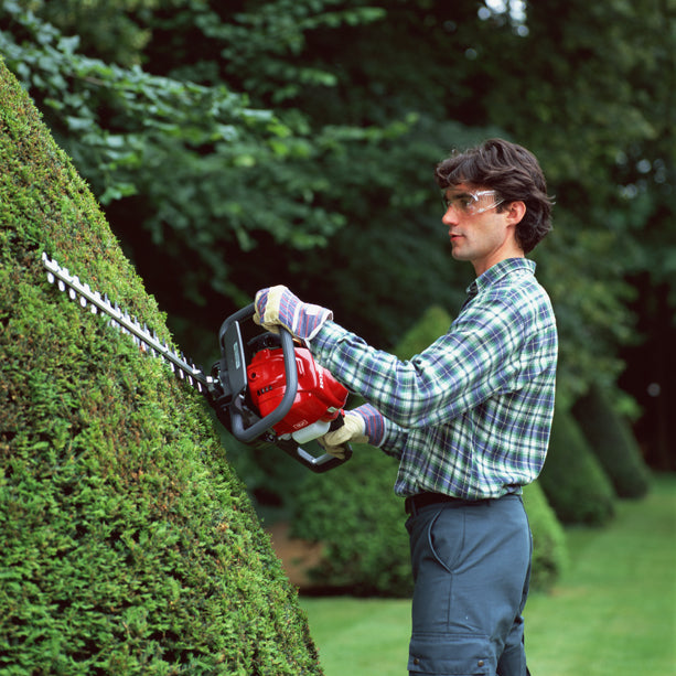 Honda HHH 25D 60 Benzine Heggenschaar - keizers.nu