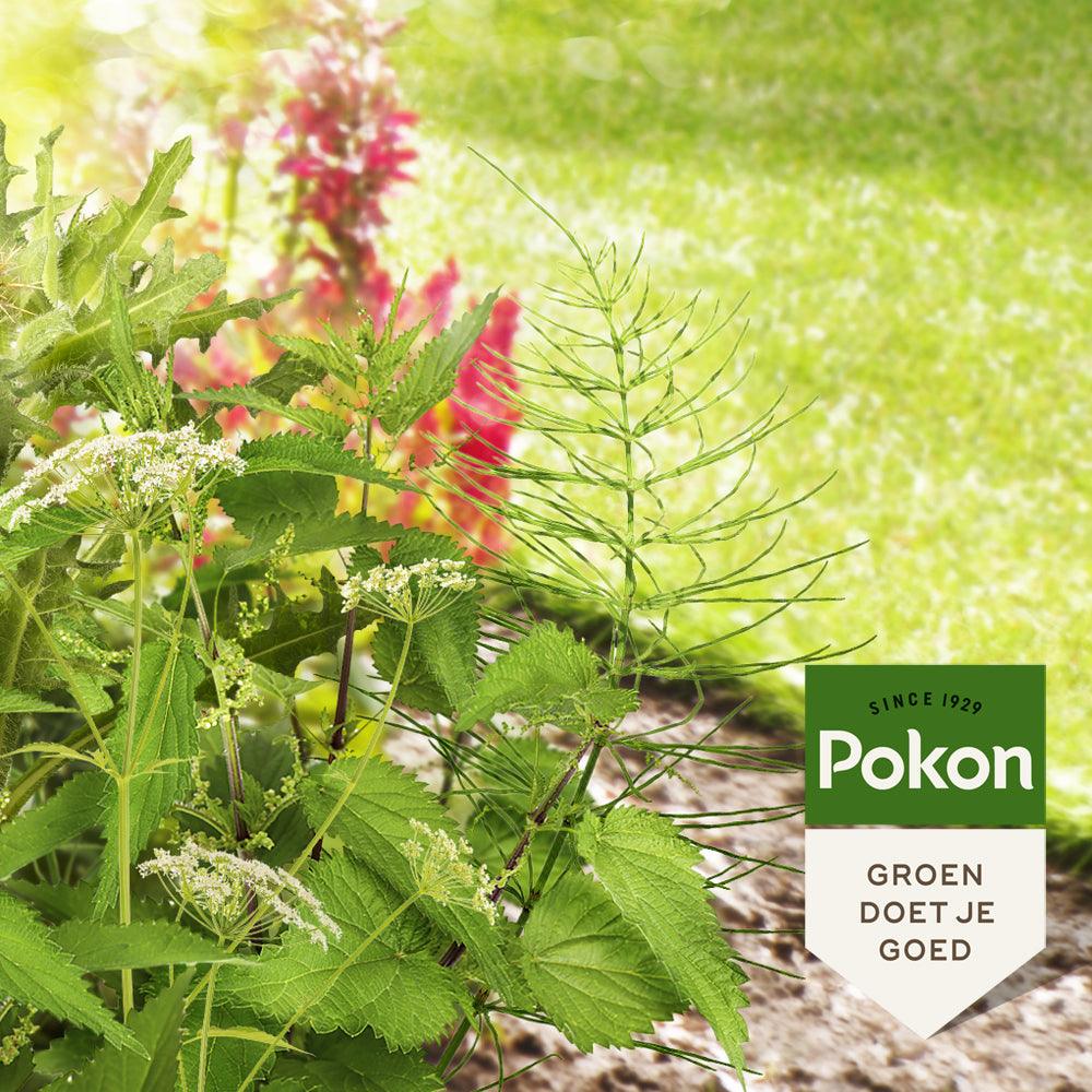 Pokon Tegen Hardnekkig Onkruid Concentraat Weedex - keizers.nu