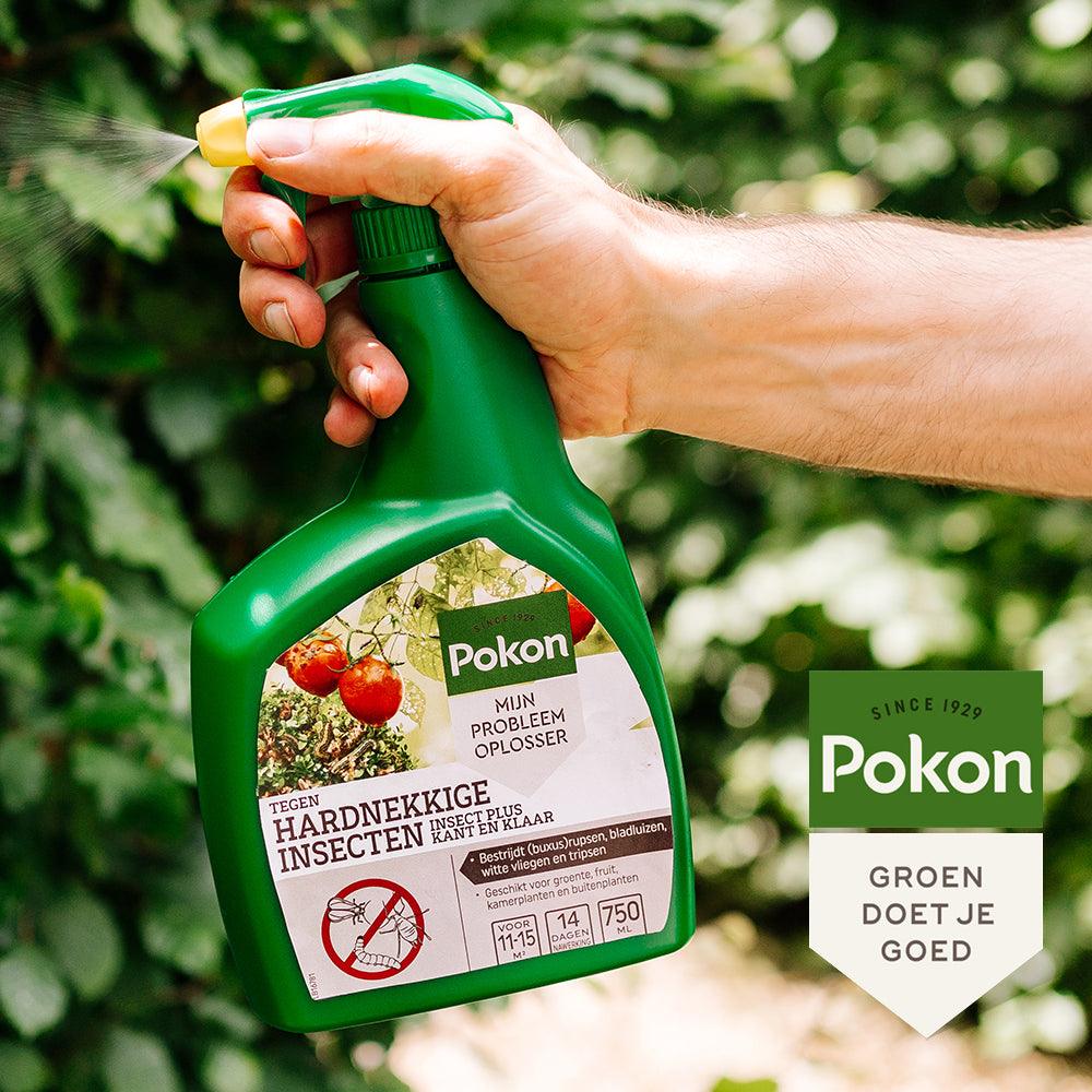 Pokon Tegen Hardnekkige Insecten Insect-Plus Kant en Klaar Spray - keizers.nu