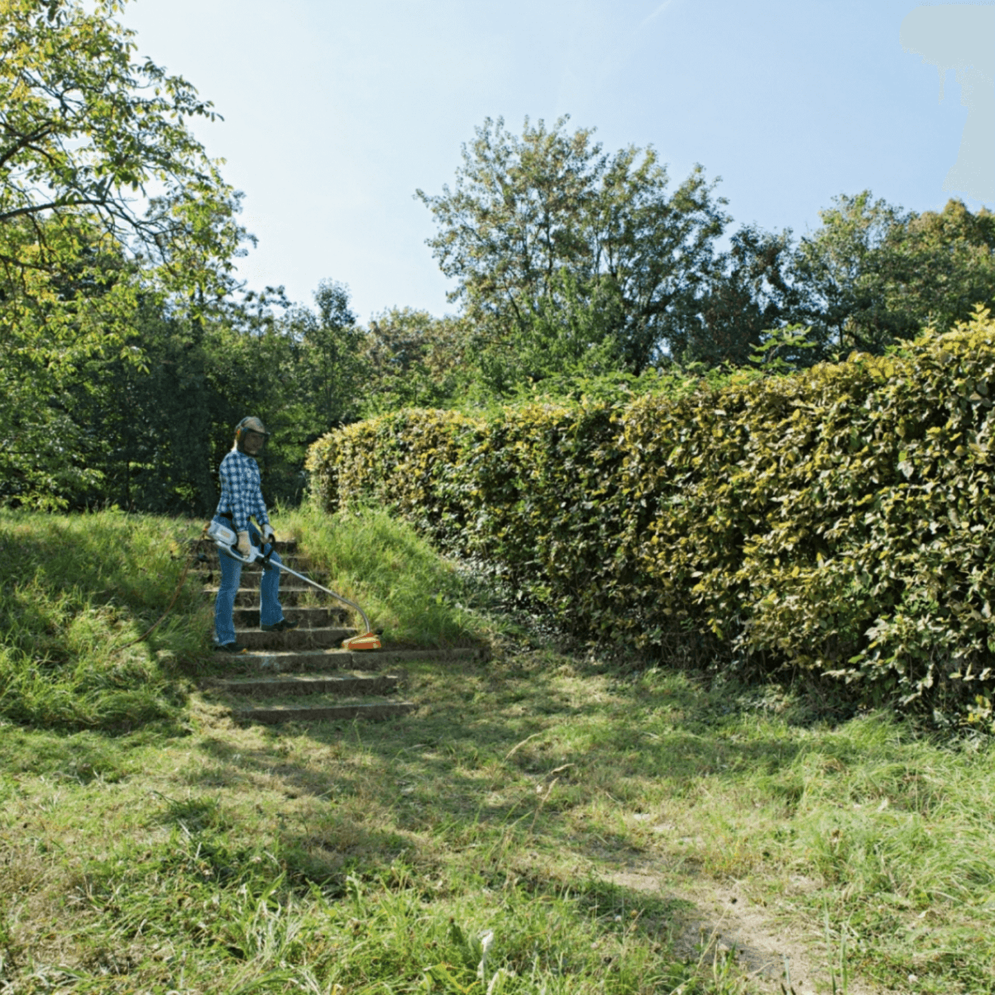 Stihl FSE 81 Elektrische Graskantenmaaier - keizers.nu