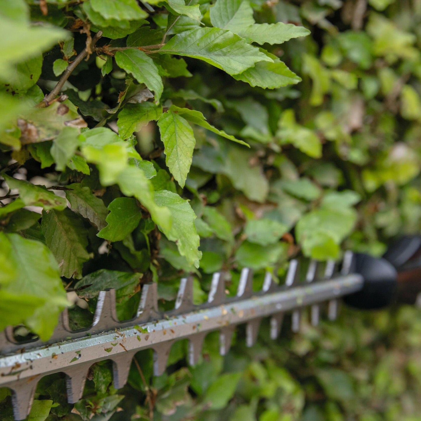 STIHL HLA 66 Accu Heggenschaar + AP 20 Accu