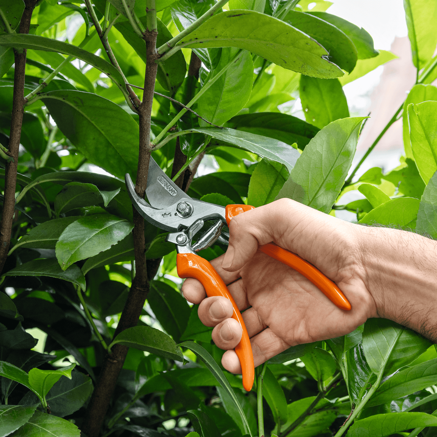 Stihl PG 20 Bypass Snoeischaar - keizers.nu