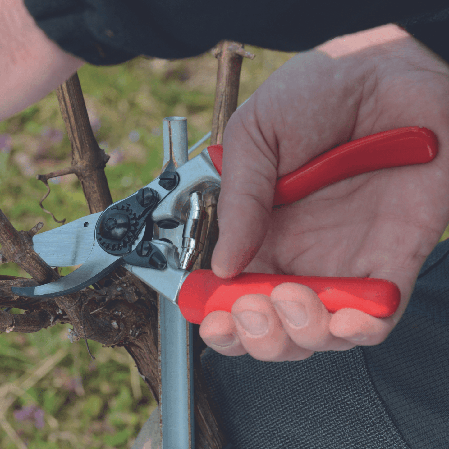 Stihl Snoeischaar Bypass FELCO F7 - keizers.nu