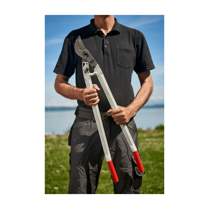 Felco 22 Takkenschaar