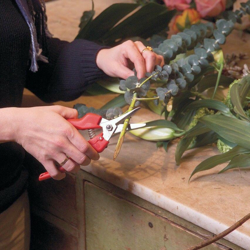 Felco 310 Fruit- en bloemenschaar - keizers.nu