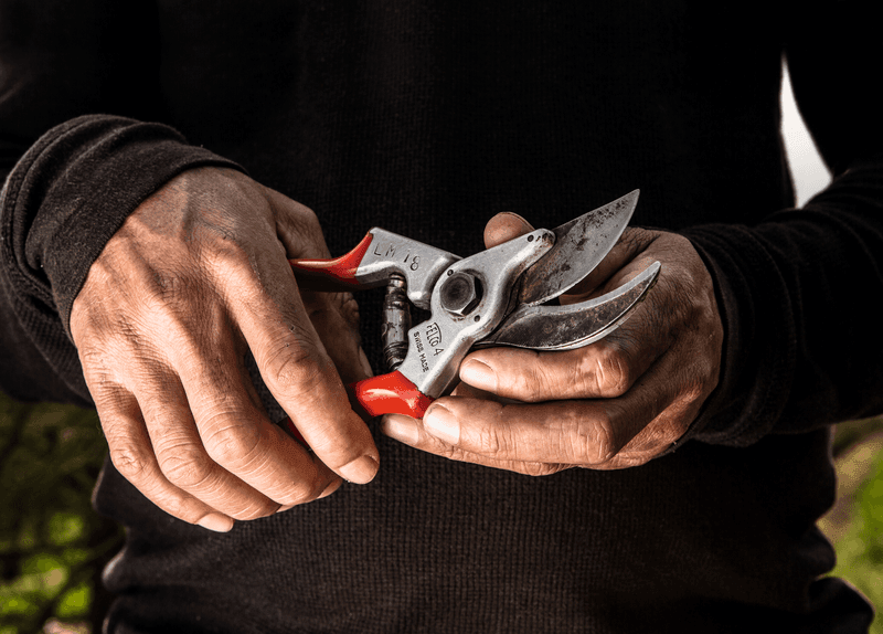 Felco 4 Snoeischaar - keizers.nu