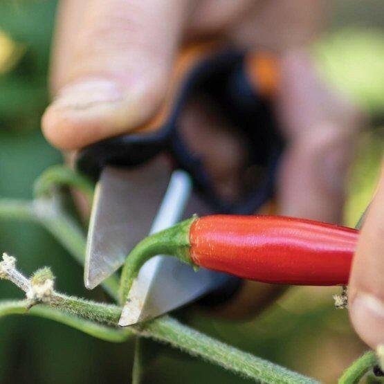 Fiskars Solid Kruiden Snip SP-220 - keizers.nu
