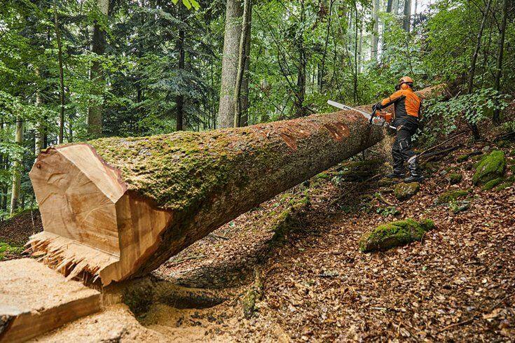 Stihl MS 881 Benzine Kettingzaag - keizers.nu