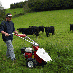 Tielbürger T 60 Benzine Balkmaaier - keizers.nu
