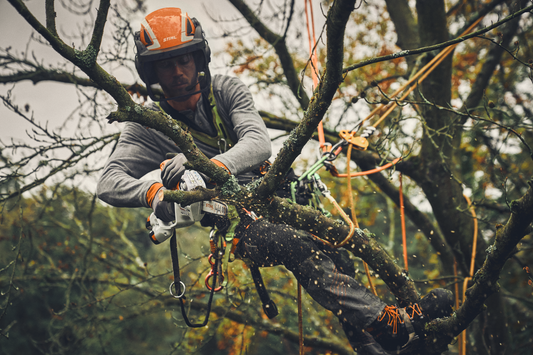 Stihl GTA 40: De Onmisbare Accu Snoeizaag voor Elke Tuinier