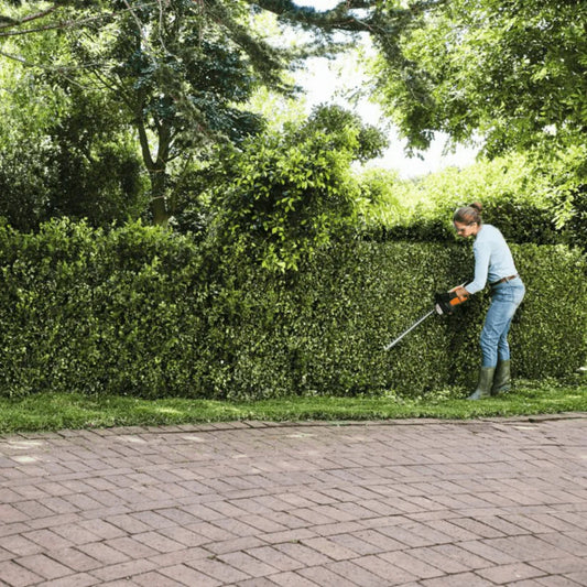 Heggenschaar vs. Trimmer: Welke is Geschikt voor Jouw Tuinonderhoud?