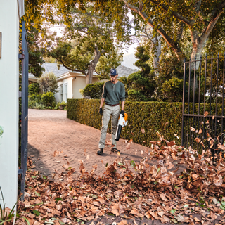 Bladblazers - keizers.nu