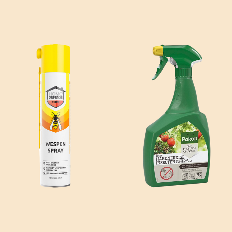 Ongediertebestrijding door middel van een muizenval met een blokje kaas