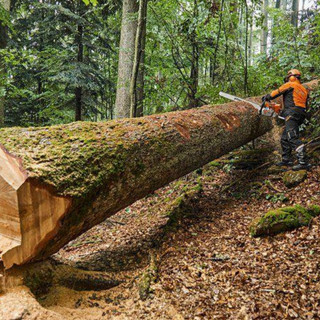 Snoeien & Zagen - keizers.nu