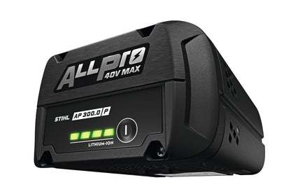 ALLPRO AP 300.0 P accu