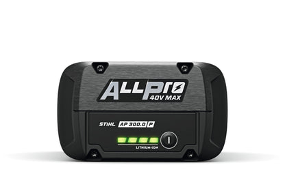 ALLPRO AP 300.0 P accu
