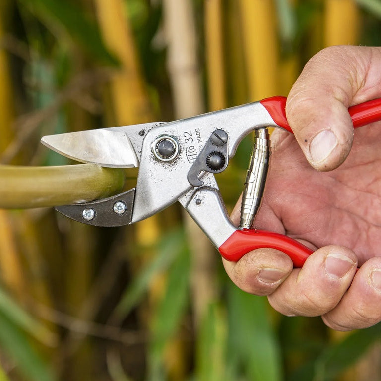 felco-f32-snoeischaar-keizers-nu