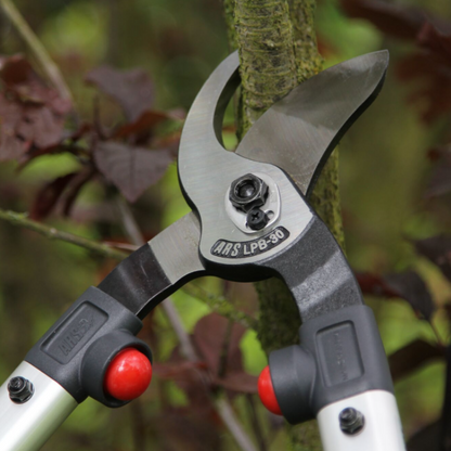 ARS_LPB-30M_Takkenschaar-keizers.nu