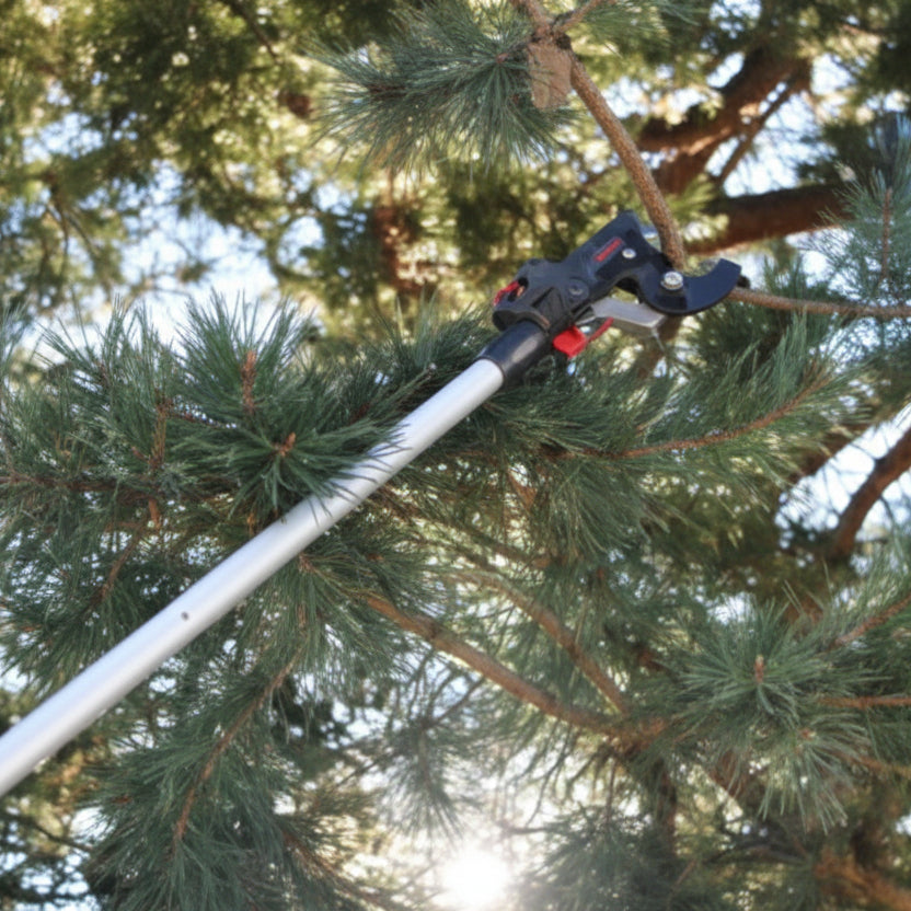 Felco 290-4M Telescopische Takkenschaar-keizers.nu