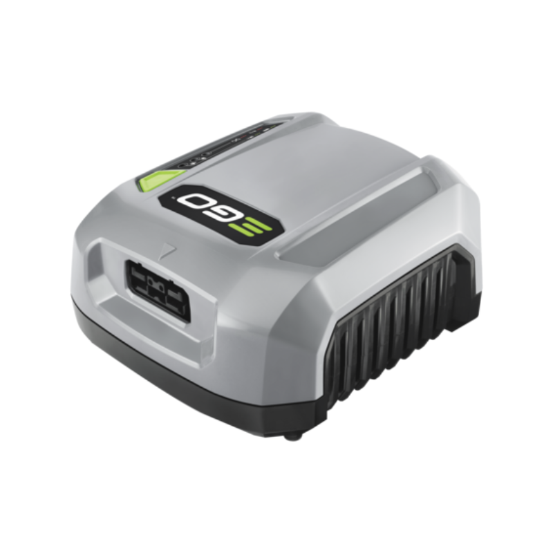EGO CHX5500E Pro X Lader
