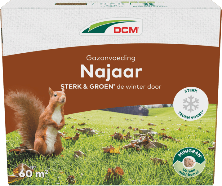 DCM Gazonvoeding Najaar - 3 KG (60 m2)