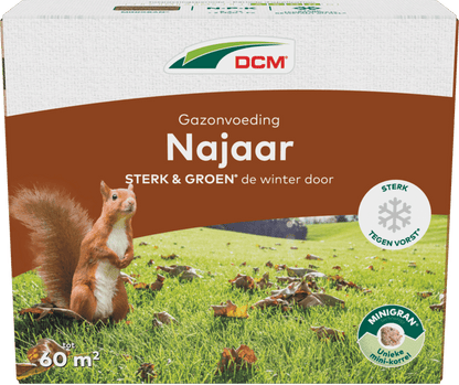 DCM Gazonvoeding Najaar - 3 KG (60 m2)
