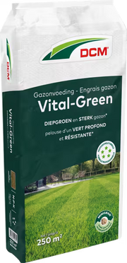 DCM Meststof Vital-Green Gazon - 10 KG (250 m2)