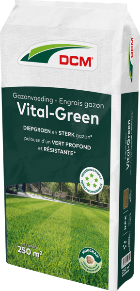 DCM Meststof Vital-Green Gazon - 10 KG (250 m2)-keizers.nu