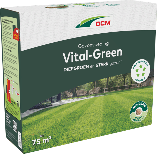 DCM Meststof Vital-Green Gazon - 3 KG (75 m2)-keizers.nu