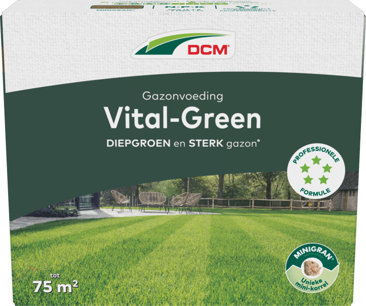 DCM Meststof Vital-Green Gazon - 3 KG (75 m2)-keizers.nu