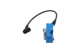 ONTSTEKING MODULE