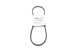 RIEM