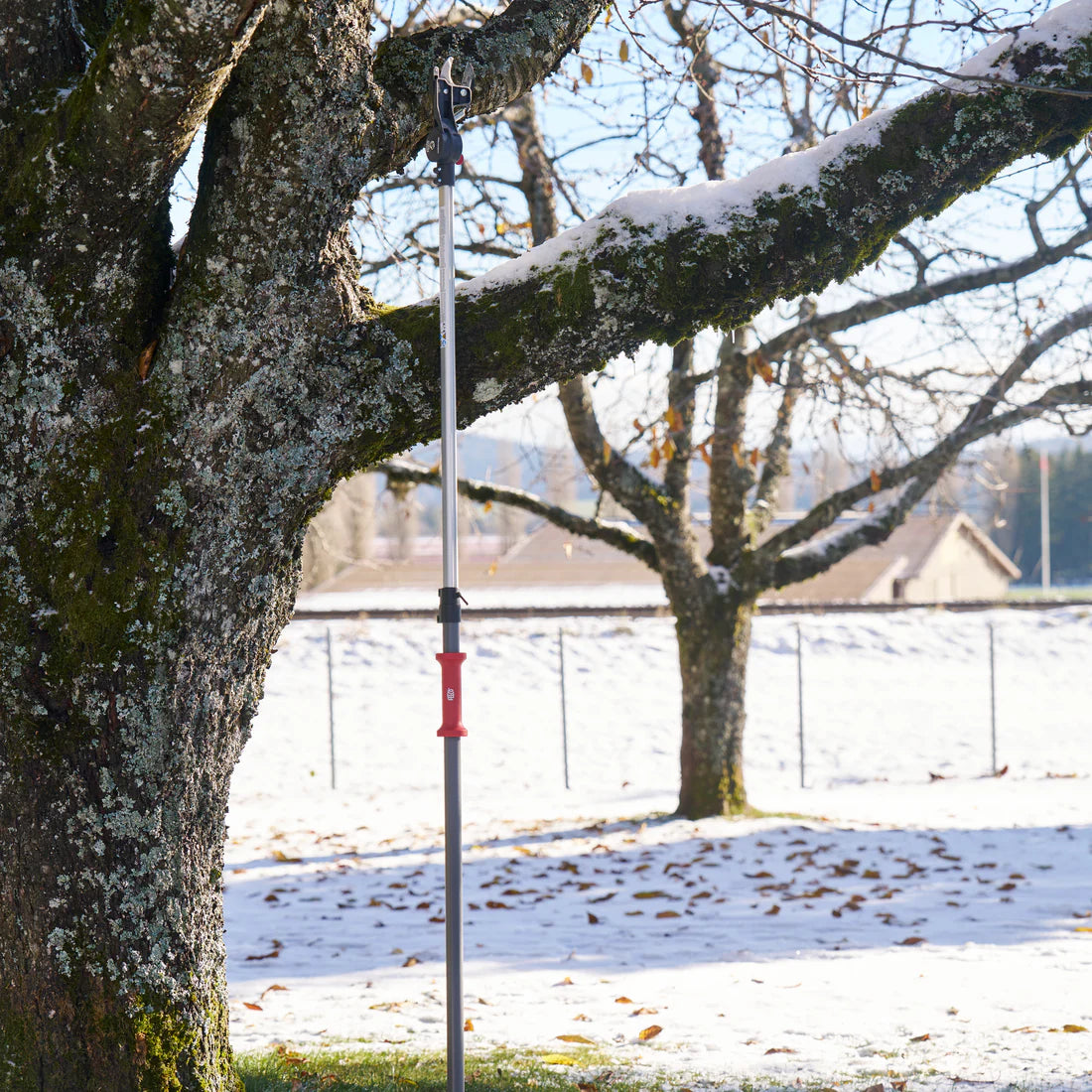 Felco 290-4M Telescopische Takkenschaar