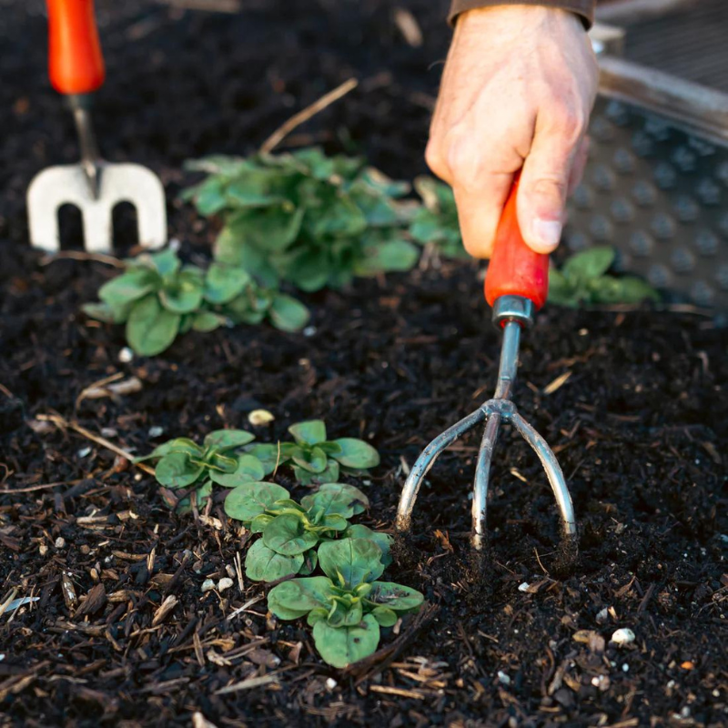 Felco 411 Cultivator