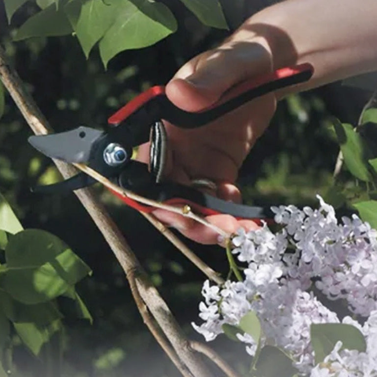 Felco Snoeischaar 160S  keizers.nu