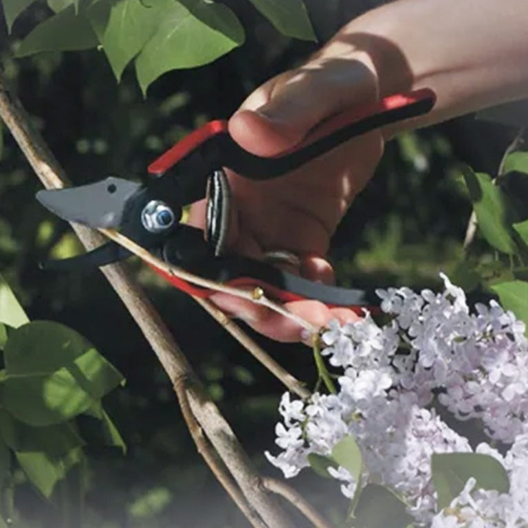 Felco Snoeischaar no. 160L - keizers.nu