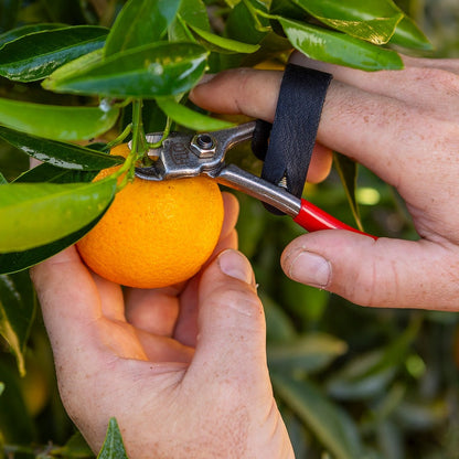 Felco 330 Fruitschaar - keizers.nu