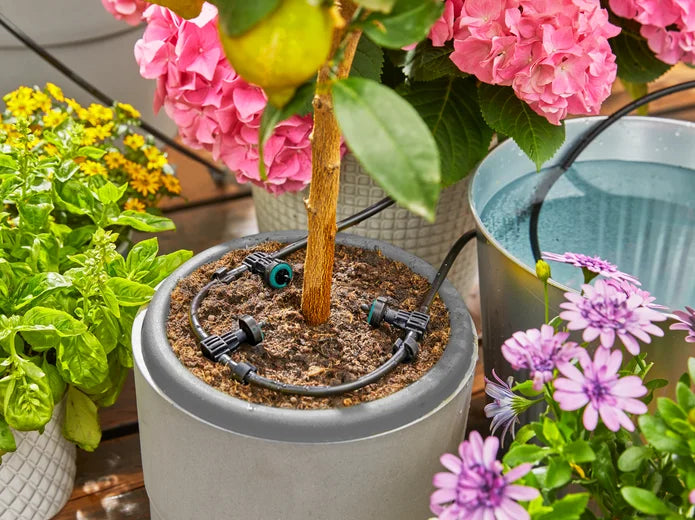 GARDENA Vakantiebewateringsset AquaBloom Set-keizers.nu