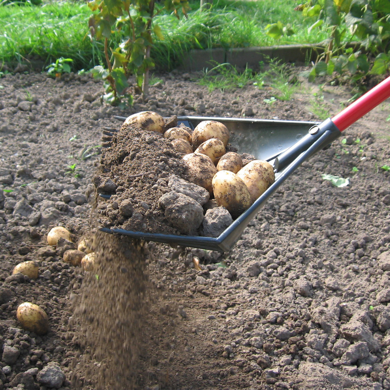 Golden Gark Multifunctionele Vork 18 tands - met steel