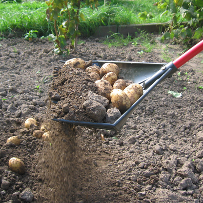 Golden Gark Multifunctionele Vork 18 tands - met steel