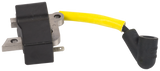 MODULE