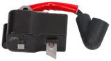 ONTSTEKING MODULE