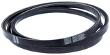 RIEM